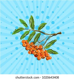 Bunch rowan berries on blue bakground. Vector illustration. Hand drawn on style pop art
