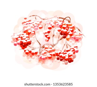 Bunch rowan berries from splash of watercolors. Hand drawn sketch. Vector illustration of paints