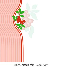 bunch of rowan on asymmetric white-pink background