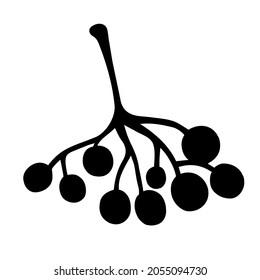 Bunch of rowan or viburnum vector icon. Hand-drawn doodle. A cluster with round seeds. Botanical sketch. Black-white element for decoration, design of cards, printing, textiles, office supplies.