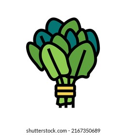 bunch spinach color icon vector. bunch spinach sign. isolated symbol illustration