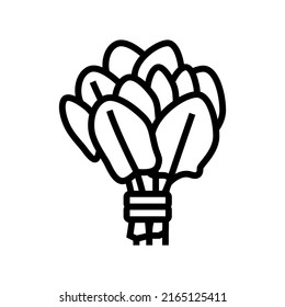 bunch spinach line icon vector. bunch spinach sign. isolated contour symbol black illustration