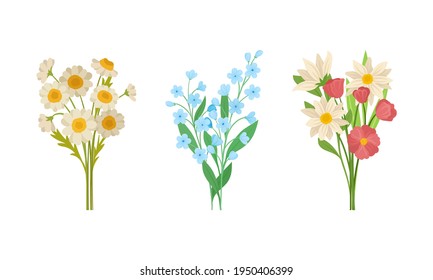 Bunch of Spring Flowers with Fragrant Blossom on Green Stem Vector Set