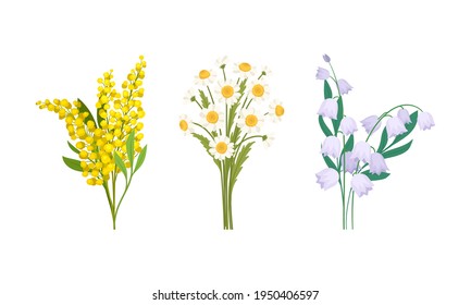 Bunch of Spring Flowers with Fragrant Blossom on Green Stem Vector Set