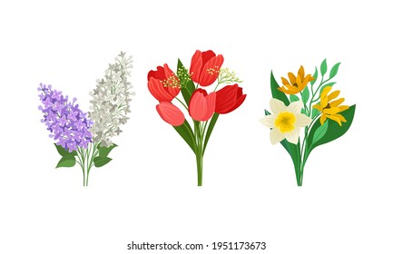 Bunch of Spring Flowers with Fragrant Blossom on Green Stem Vector Set
