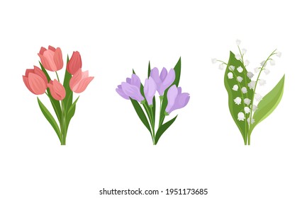 Bunch of Spring Flowers with Fragrant Blossom on Green Stem Vector Set