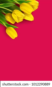 Bunch of spring yellow tulips on pink background. Vector illustration