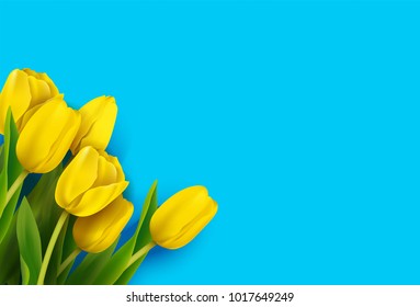 Bunch of spring yellow tulips on blue background. Vector illustration