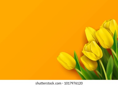 Bunch of spring yellow tulips on orange background. Vector illustration