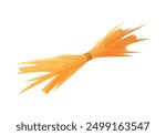 Bunch of straw, hay bundle and dry grass harvest tied with rope vector illustration