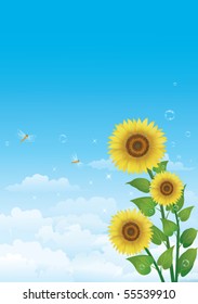 bunch of sunflowers over blue background