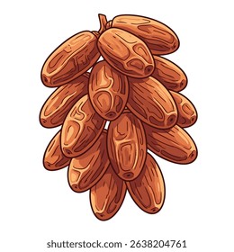 Bunch of Sweet Brown Dates Still Attached to the Stem