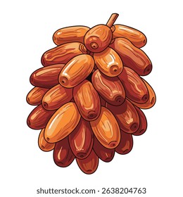 Bunch of Sweet Brown Dates Still Attached to the Stem