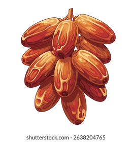 Bunch of Sweet Brown Dates Still Attached to the Stem