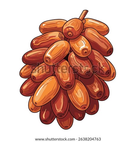 Bunch of Sweet Brown Dates Still Attached to the Stem