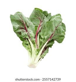 A bunch of Swiss chard with vibrant green leaves and red stems.