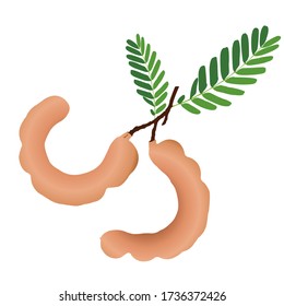 Bunch tamarind sobre fondo blanco