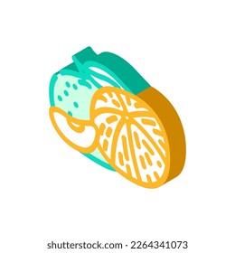 bunch tangerin isometrischer Icon Vektorgrafik. Tangentialzeichen. einzelne Symbolillustration