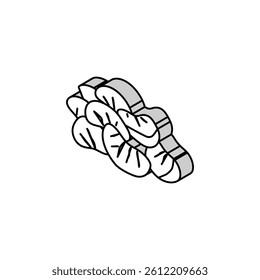 bunch tangerine isometric icon vector. bunch tangerine sign. isolated symbol illustration