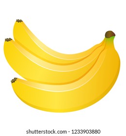 Bunch of three bananas isolated on white background. Vector illustration.