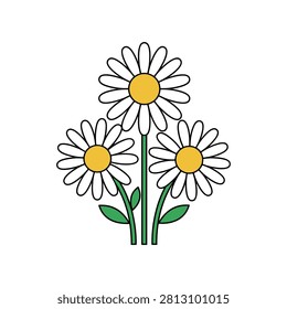 Bunch of three daisies floral illustration with botanical illustration springtime blooming isolated wildflower