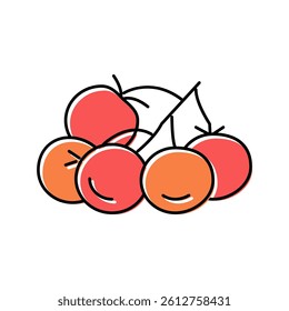bunch tomato color icon vector. bunch tomato sign. isolated symbol illustration