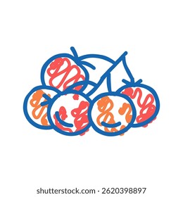 bunch tomato doodle icon sketch vector. bunch tomato sign. isolated symbol illustration