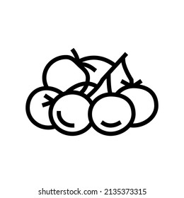 bunch tomato line icon vector. bunch tomato sign. isolated contour symbol black illustration