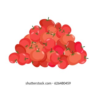 bunch of Tomato. lot of vegetables. big crop on farm