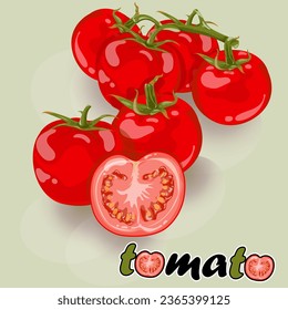 Montón de tomates, tomates cortados, rojo vivo, verduras y frutas para cocinar, ilustración, vector