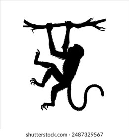 Bunch of tree hanging monkey silhouette on white background. Monkey icon sign vector illustration design.