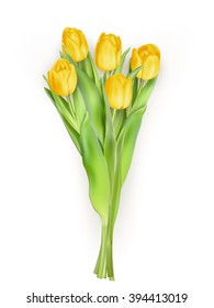 Bunch of tulips isolated on white background. EPS 10 vector file
