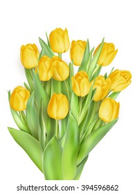 Bunch of tulips isolated on white background. EPS 10 vector file