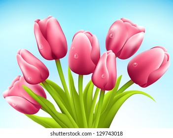 Bunch of tulips on white background. Vector
