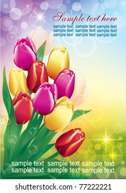 Bunch of tulips for romantic message
