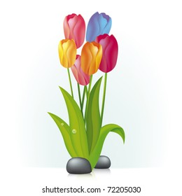 Bunch of tulips in zen garden