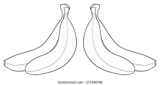 Bunch of two bananas on white background in the Delightful garden collection