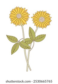 Manojo de dos flores con hojas. Ramo brillante de plantas silvestres perennes en flor. Elementos botánicos dibujados a mano para proyectos de diseño. Ilustración vectorial