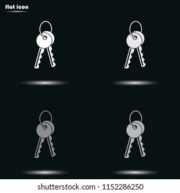 Bunch of two keys flat grayscale vector icon.