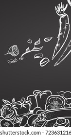 Bunch of vegetables on chalkboard. Hand drawn healthy food sketch. Black and White Vector Drawing on Blackboard. 