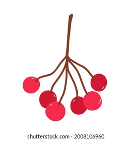 Bunch of viburnum berries isolated on white background. Vector hand-drawn illustration in cartoon flat style. Perfect for your project, cards, logo, decorations.