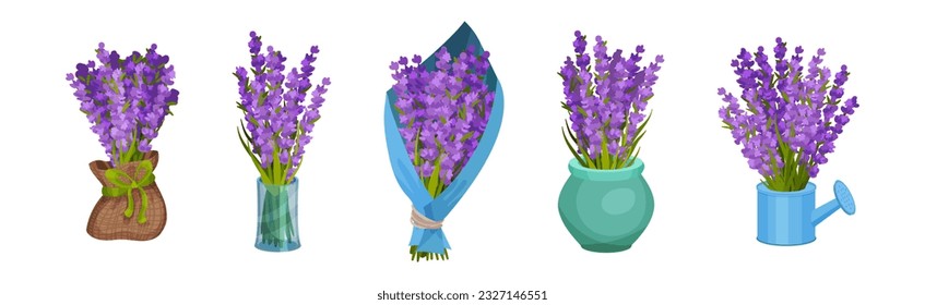 Bunch of Violet Lavender Twigs Wrapped in Gift Paper and in Vase Vector Set