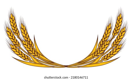 Bunch of wheat. Agricultural image with natural ears of barley or rye.