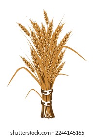a bunch of wheat detailed illustration vector symbol of prosperity
