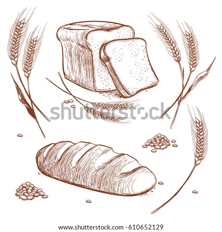 Similar – Image, Stock Photo loaf of bread and crunchy apples on a wooden bench