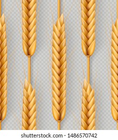 Bunch of wheat ears, dried whole grains seamless realistic illustration isolated on transparent background. Bakery object template. EPS 10