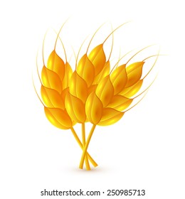 Bunch of wheat ears isolated on white background, illustration.