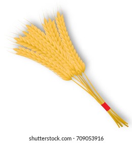 Bunch of wheat ears with ribbon isolated on a white background. Vector illustration.