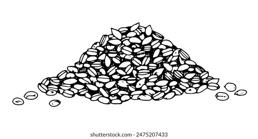 Bunch of Wheat Grains Vector hand drawn illustration. Barley pile sketch drawing. Vintage white and black line art on background. Clipart of rye heap for bakery graphic design. For food packaging