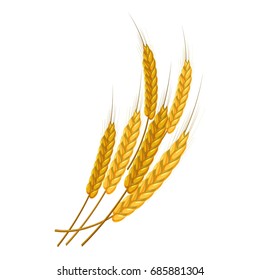 Bunch of wheat icon. Cartoon illustration of wheat ears vector icon for web design